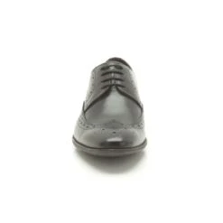 Chart Limit -Shoe Shop Online 20355013 C