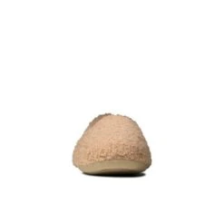 Cozily Snug -Shoe Shop Online 26144594 C