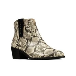 Shoe Shop Online -Shoe Shop Online 26146807 B