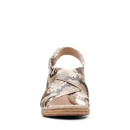 Lafley Alaine 3 Lafley Alaine - Image 3