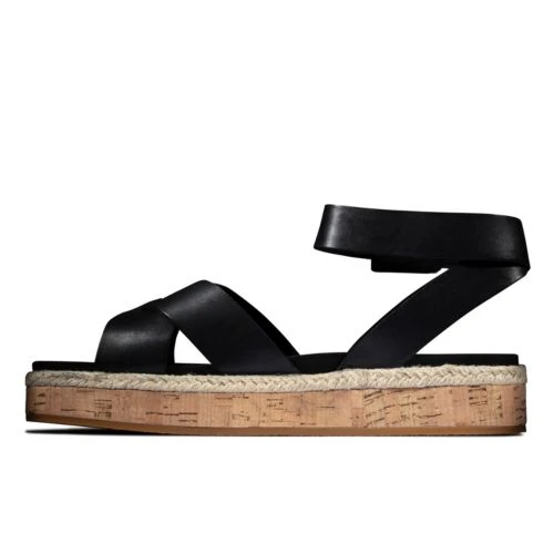 Botanic Poppy 4 Botanic Poppy - Image 4