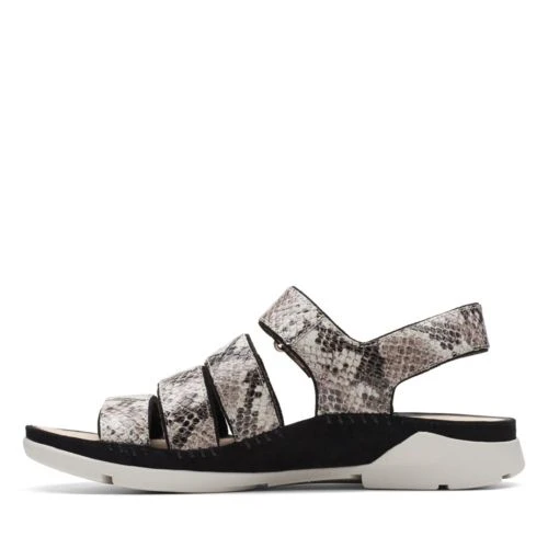 Tri Glad 5 Tri Glad - Image 5