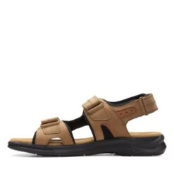 Hapsford Trail -Shoe Shop Online 26158088 E