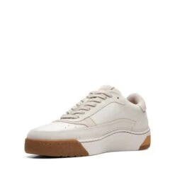 CraftCourtLace -Shoe Shop Online 26165531 D