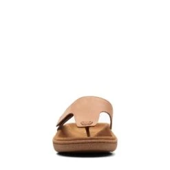 Pilton Post -Shoe Shop Online 26165837 C