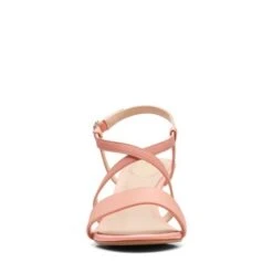 Amali Buckle -Shoe Shop Online 26165938 C